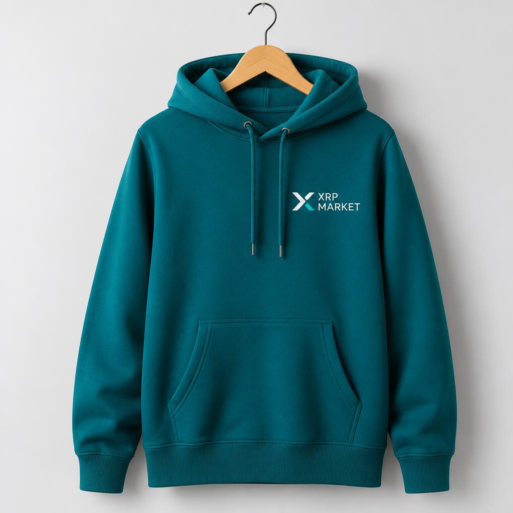 Payments Without Borders Hoodie — Light Blue